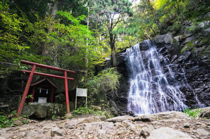 From Tokyo: Mt. Fuji Day Tour w/ Private Car & Nature Guide - FAQs