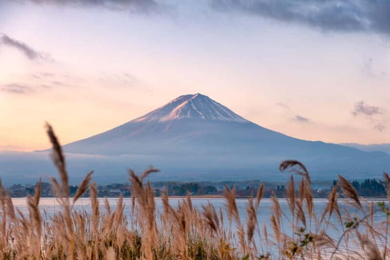From Tokyo: Mt.Fuji & Gotemba Private Customizable Day Trip. - Good To Know
