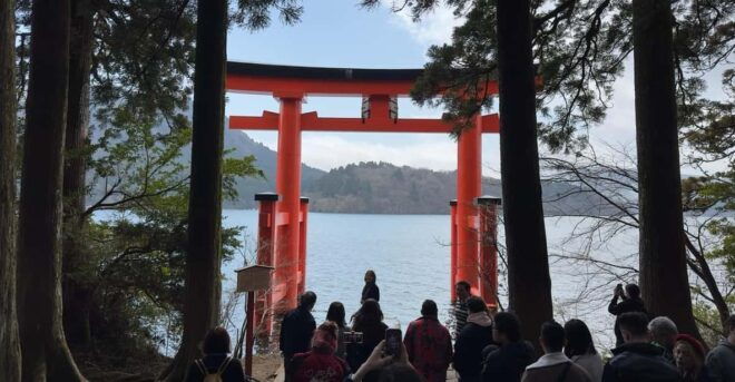 From Tokyo: Mt. Fuji & Hakone One Day Private Tour - Transportation and Comfort