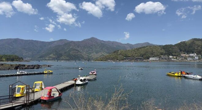 From Tokyo: Mt. Fuji & Hakone One Day Private Tour - Inclusions and Exclusions