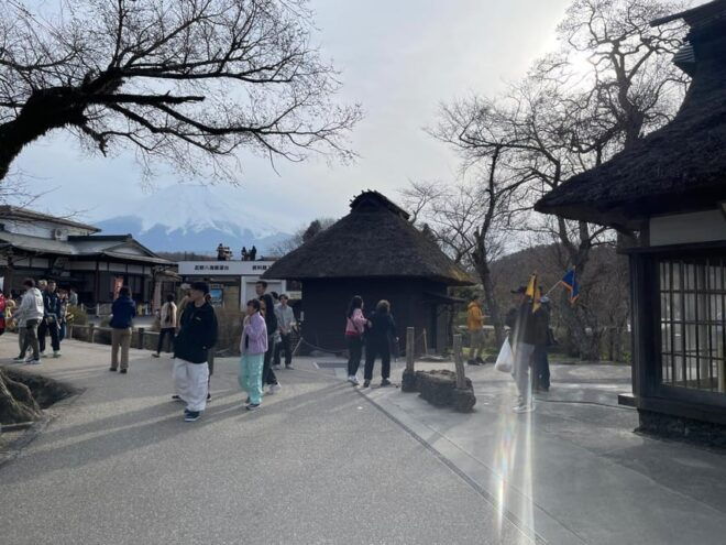 From Tokyo: Mt. Fuji & Hakone One Day Private Tour - Customer Experience and Reviews
