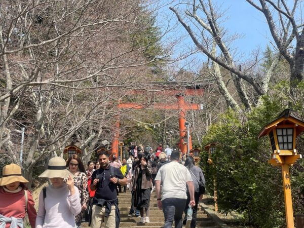 From Tokyo: Mt. Fuji & Hakone One Day Private Tour - Customization Options