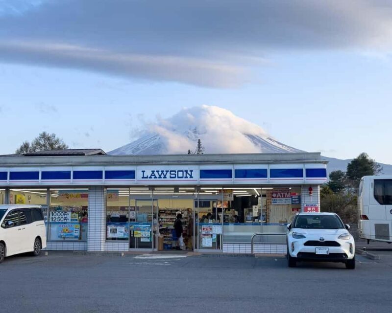 From Tokyo Mt Fuji Hakone Private Customizable Day By Guide - Transportation and Tour Logistics