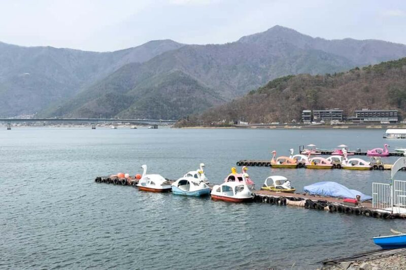 From Tokyo Mt Fuji Hakone Private Customizable Day By Guide - Why This Tour Stands Out