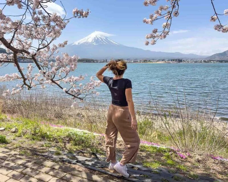 From Tokyo Mt Fuji Hakone Private Customizable Day By Guide - Final Thoughts