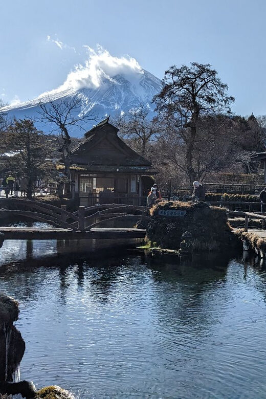 From Tokyo: Mt. Fuji & Hakone Tour w/ Return by Bullet Train - Practical Tips for Travelers