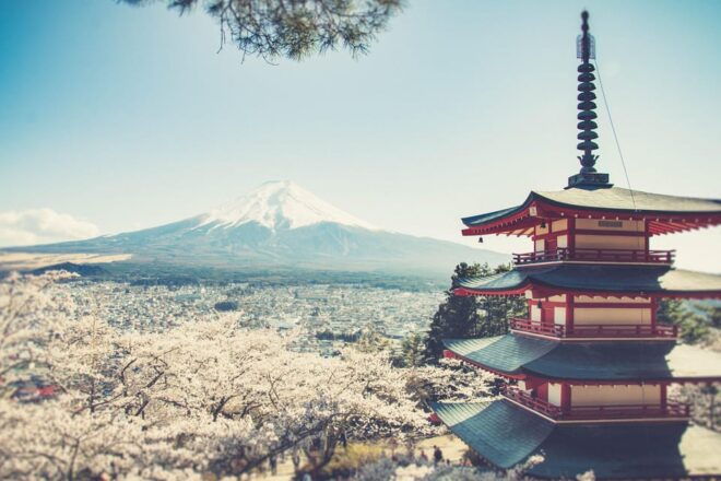 From Tokyo: Mt. Fuji Highlights Customizable Private Tour - Transportation and Driver