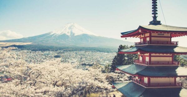 From Tokyo: Mt. Fuji Highlights Customizable Private Tour - Booking Information