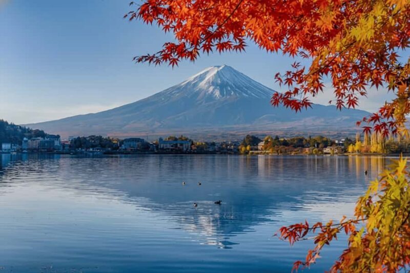 From Tokyo: Mt.Fuji & Kawaguchi & Oshino Hakkai Bus Tour - Practical Tips for Travelers