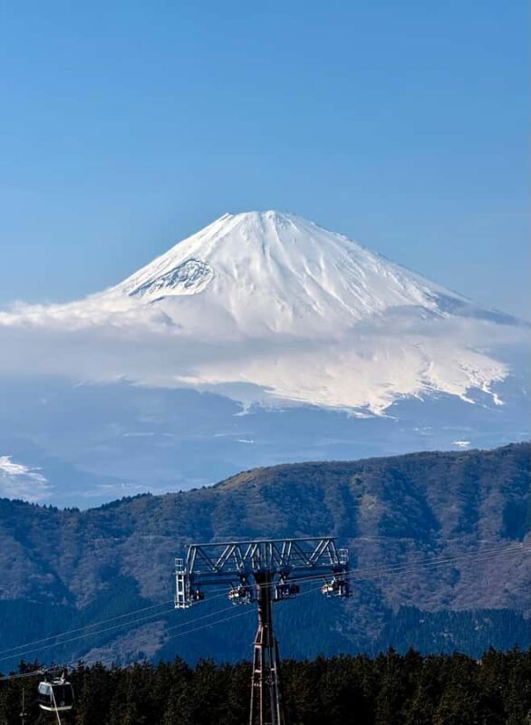 From Tokyo: Mt.Fuji & Kawaguchi & Oshino Hakkai Bus Tour - FAQ