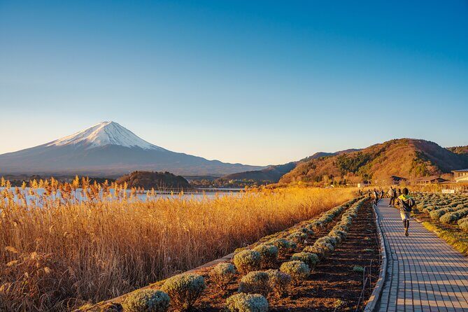 From Tokyo Mt.Fuji, Lake Kawaguchi, Makaino Farm day tour - How the Tour Comes Together