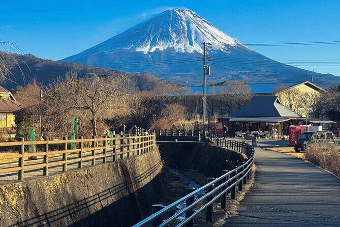 From Tokyo Mt.Fuji, Lake Kawaguchi, Makaino Farm day tour - The Sum Up