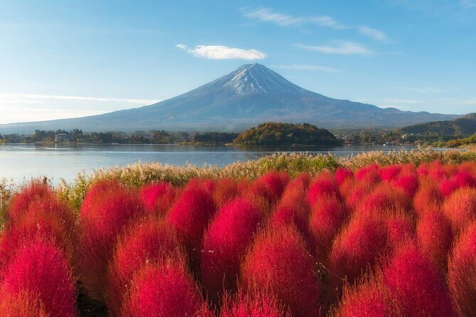From Tokyo Mt.Fuji, Lake Kawaguchi, Makaino Farm day tour - The Itinerary in Detail