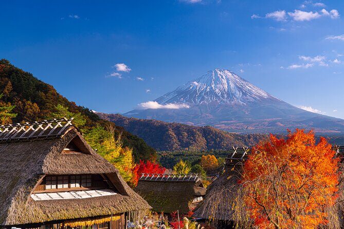 From Tokyo Mt.Fuji, Lake Kawaguchi, Makaino Farm day tour - Practical Tips and Recommendations
