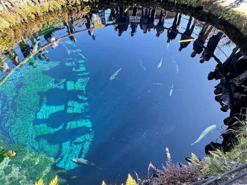 From Tokyo: Mt.Fuji, Lake Kawaguchi, Oshino Hakkai Day Tour - The Ride to Mount Fuji: An Overview