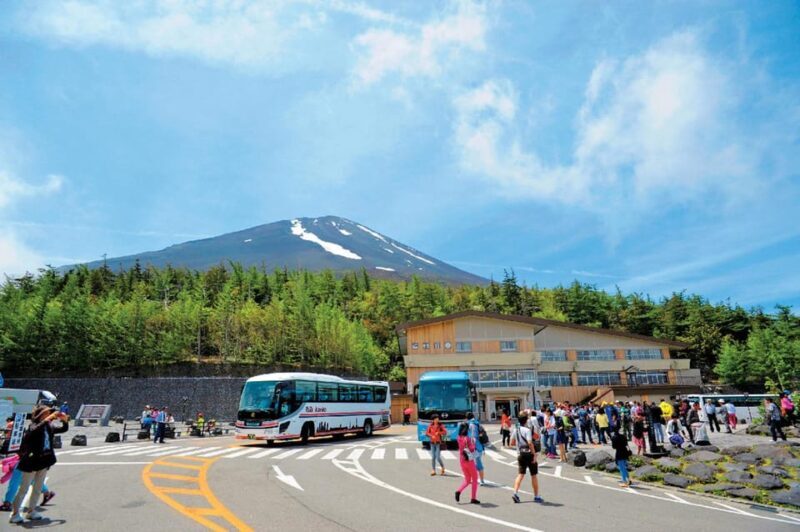 From Tokyo: Mt.Fuji, Lake Kawaguchi, Oshino Hakkai Day Tour - Final Thoughts: Who Should Consider This Tour?