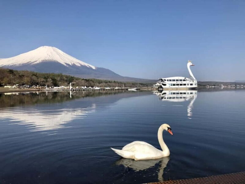 From Tokyo: Mt. Fuji Lawson & Iconic Lakes 1-Day Bus Tour - From Tokyo: Mt. Fuji Lawson & Iconic Lakes 1-Day Bus Tour — A Detailed Review
