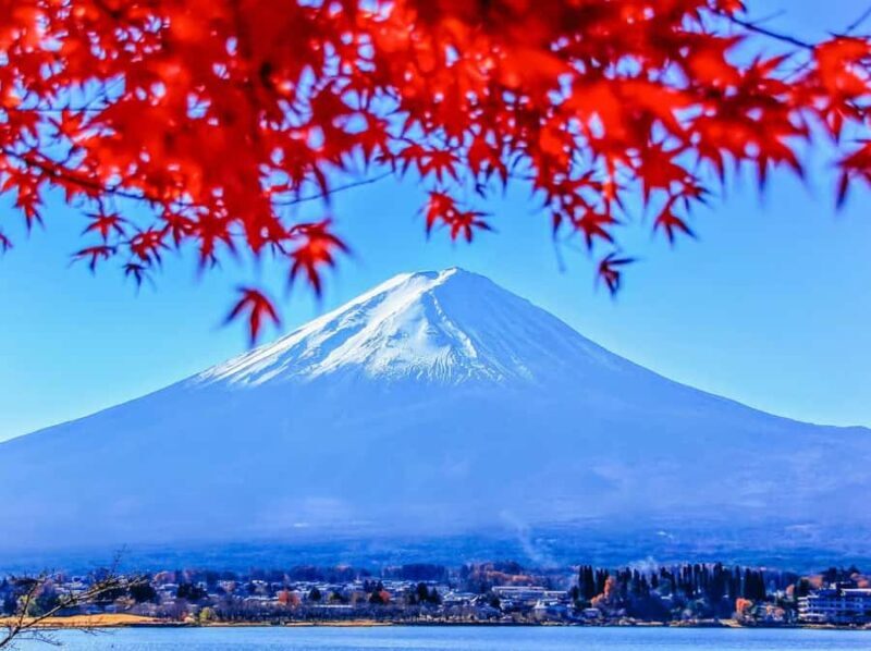 From Tokyo: Mt. Fuji One-Day Private and Customizable Tour - A Closer Look at the Mt. Fuji Day Tour