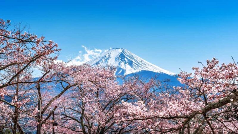 From Tokyo: Mt. Fuji One-Day Private and Customizable Tour - Who Is This Tour Best Suited For?