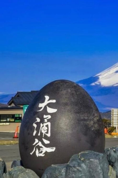 From Tokyo: Mt. Fuji or Hakone Private Sightseeing Day Trip - Good To Know