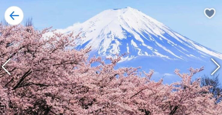 From Tokyo: Mt. Fuji or Hakone Private Sightseeing Day Trip - Itinerary Highlights