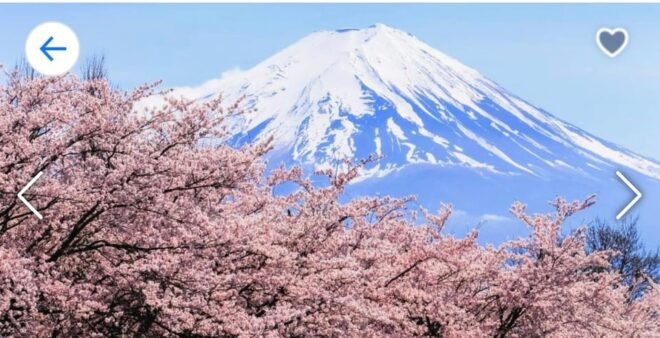 From Tokyo: Mt. Fuji or Hakone Private Sightseeing Day Trip - Locations and Attractions