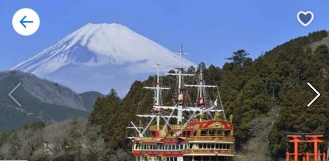 From Tokyo: Mt. Fuji or Hakone Private Sightseeing Day Trip - Inclusions and Transportation