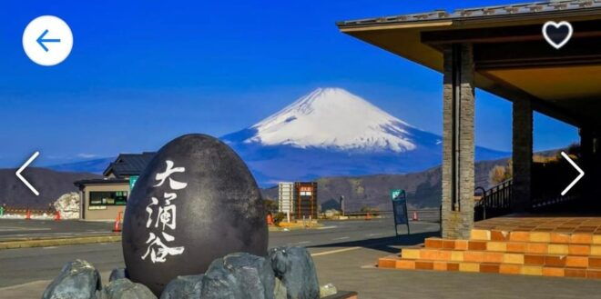 From Tokyo: Mt. Fuji or Hakone Private Sightseeing Day Trip - Important Information
