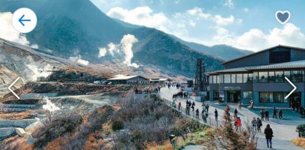 From Tokyo: Mt. Fuji or Hakone Private Sightseeing Day Trip - Tips for a Great Experience