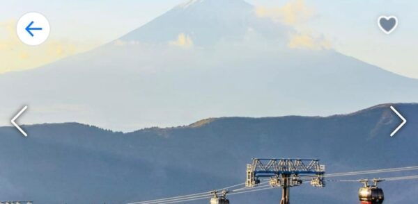 From Tokyo: Mt. Fuji or Hakone Private Sightseeing Day Trip - Why Choose Private Sightseeing