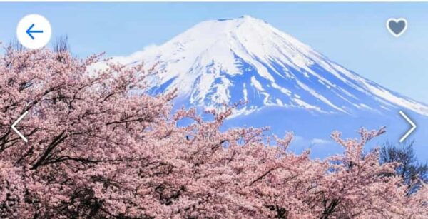 From Tokyo: Mt. Fuji or Hakone Private Sightseeing Day Trip - Frequently Asked Questions