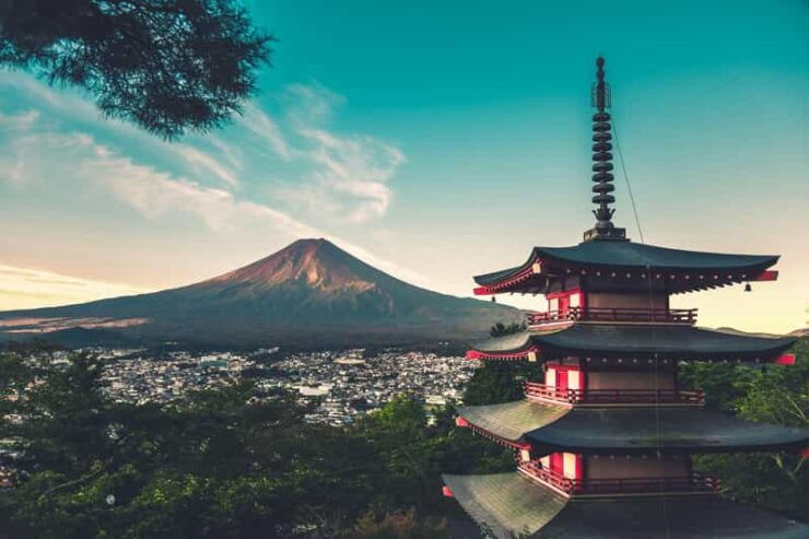 From Tokyo: Mt. Fuji or Hakone Private Sightseeing Day Trip - Pricing Details