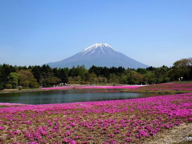 From Tokyo: Mt. Fuji or Hakone Private Sightseeing Day Trip - Itinerary B: Hakone