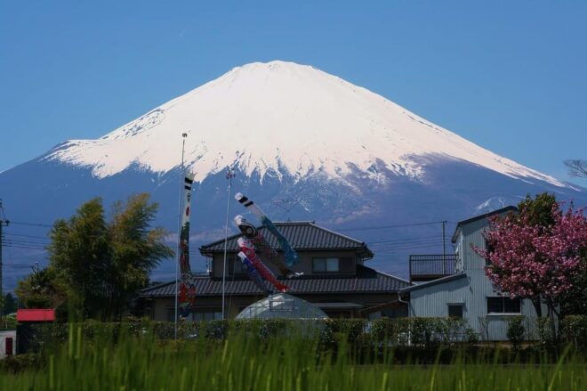 From Tokyo: Mt. Fuji or Hakone Private Sightseeing Day Trip - Transportation Options