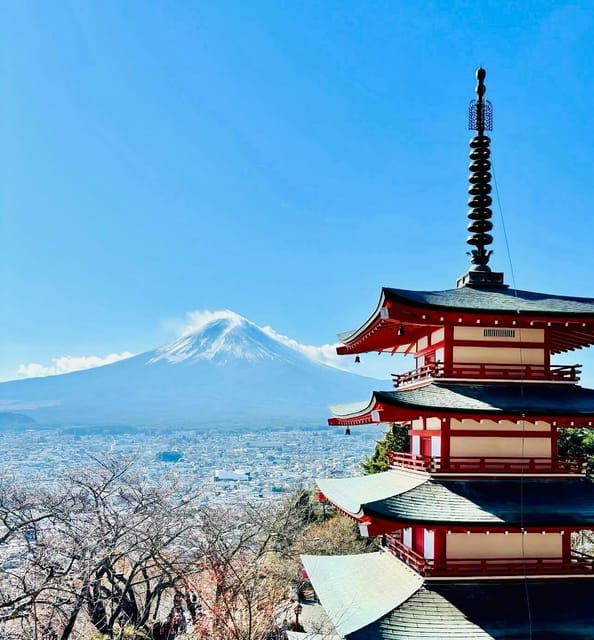 From Tokyo: Mt. Fuji Private Car Day Trip With Guide - Good To Know