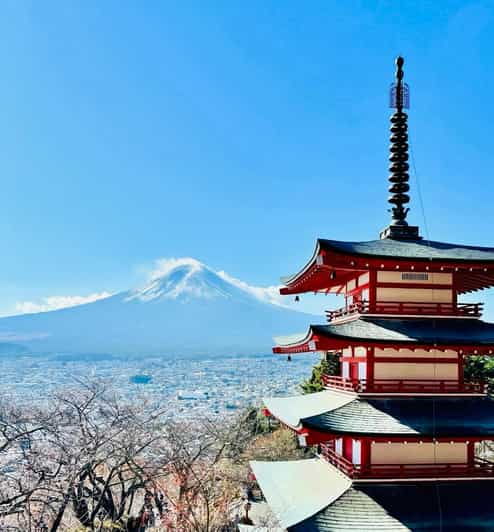From Tokyo: Mt. Fuji Private Car Day Trip With Guide - Included Services