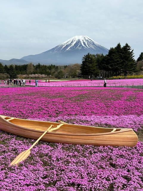 From Tokyo: Mt. Fuji Private Car Day Trip With Guide - Recommendations for Travelers