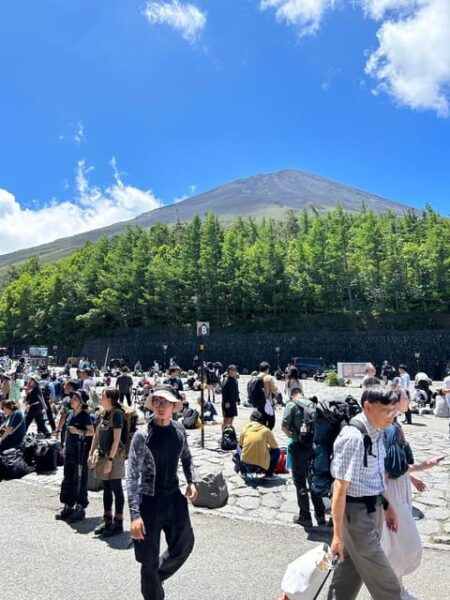 From Tokyo: Mt. Fuji Private Car Day Trip With Guide - Conditions for the Tour