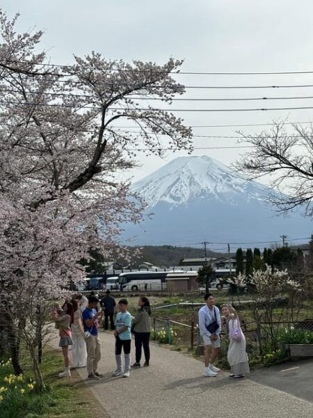 From Tokyo: Mt. Fuji Private Car Day Trip With Guide - Additional Notes