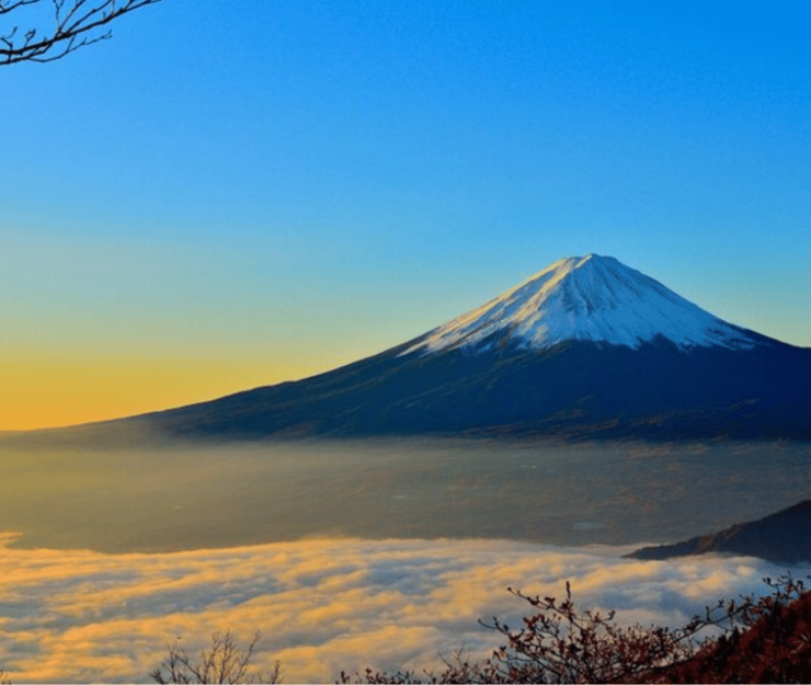 From Tokyo: Mt Fuji Private Day Tour In Land Cruiser ZX 2024 - Good To Know