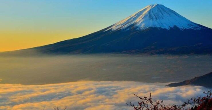 From Tokyo: Mt Fuji Private Day Tour In Land Cruiser ZX 2024 - Transportation and Pickup Details