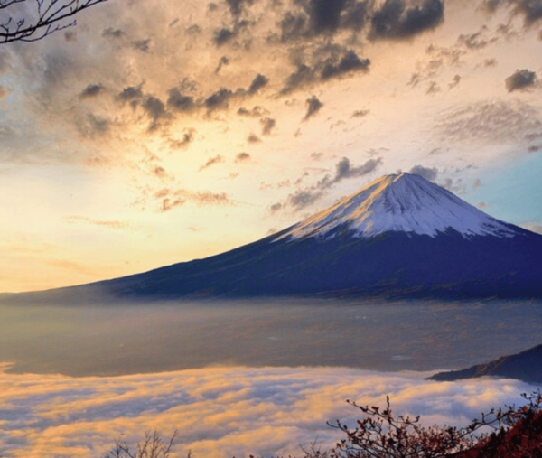 From Tokyo: Mt Fuji Private Day Tour In Land Cruiser ZX 2024 - Frequently Asked Questions