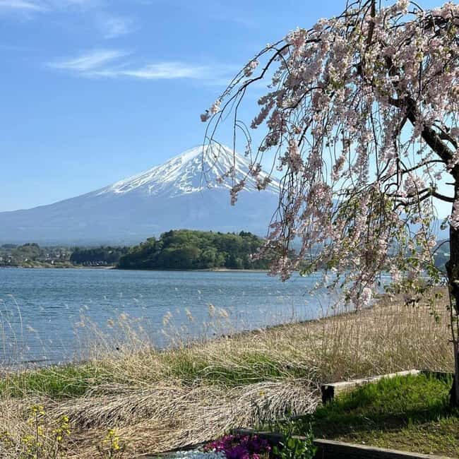 From Tokyo: Mt Fuji Private Day Tour In Luxury Land Cruiser - FAQ