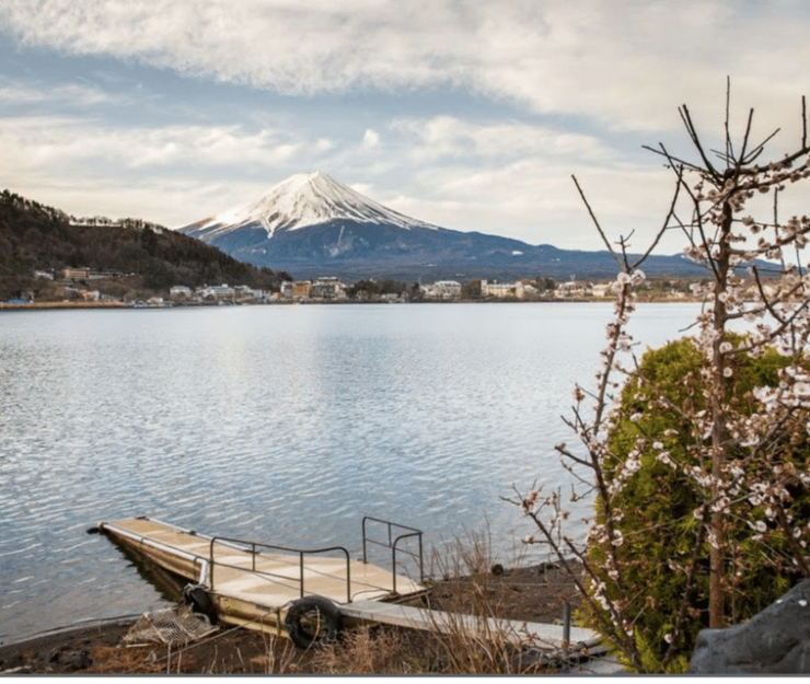 From Tokyo: Mt Fuji Private Day Tour In Luxury Land Cruiser - Good To Know
