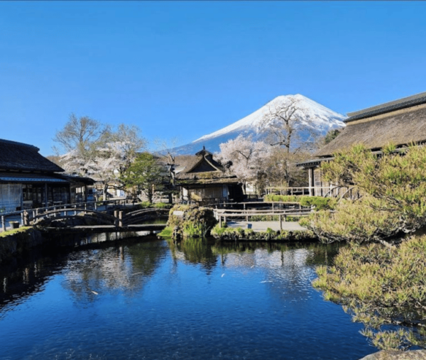 From Tokyo: Mt Fuji Private Day Tour In Luxury Land Cruiser - Customer Experience