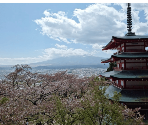 From Tokyo: Mt Fuji Private Day Tour In Luxury Land Cruiser - Scenic Attractions
