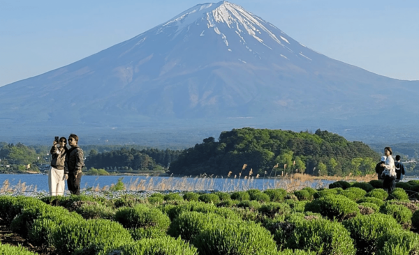From Tokyo: Mt. Fuji Private Day Tour With English Driver - What to Bring