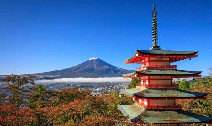 From Tokyo: Mt Fuji Private One Day Trip (w/ Toyota Alphard) - Good To Know
