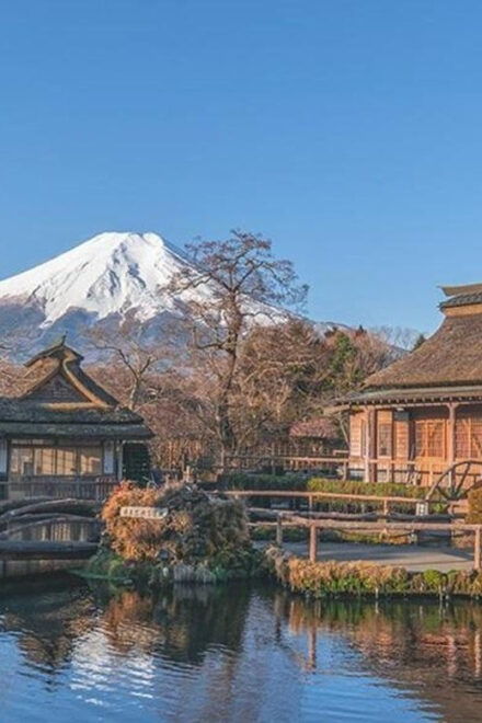 From Tokyo: Mt Fuji Private One Day Trip (w/ Toyota Alphard) - Transportation Details