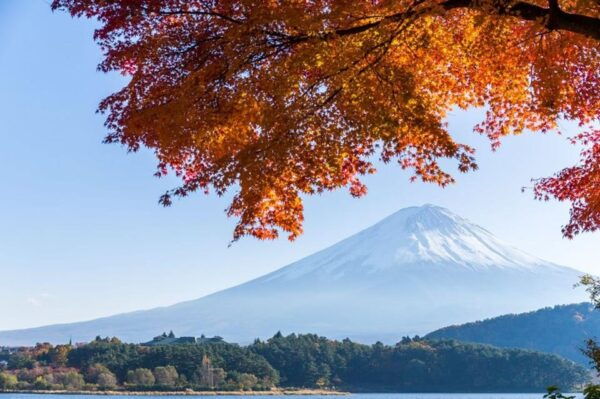From Tokyo: Mt Fuji Private One Day Trip (w/ Toyota Alphard) - Frequently Asked Questions